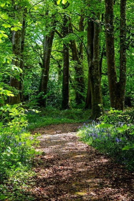 Ballyeriston House بروتنو المظهر الخارجي الصورة